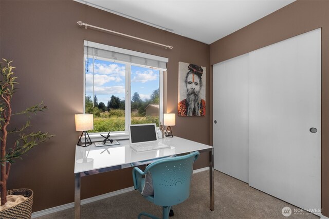 2803 19th Street Pl SW, Puyallup, WA 98373 - photo 28
