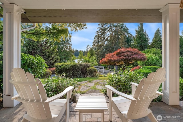9011 NE 34th St, Yarrow Point, WA 98004 - photo 28