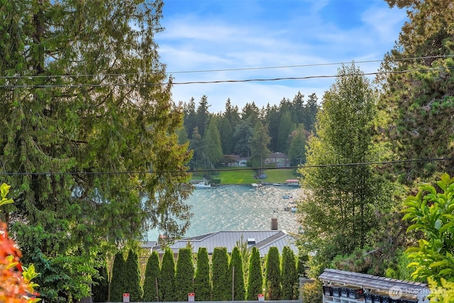 9011 NE 34th St, Yarrow Point, WA 98004 - photo 29