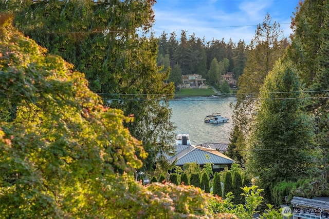 9011 NE 34th St, Yarrow Point, WA 98004 - photo 30