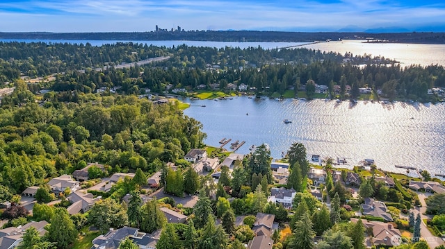 9011 NE 34th St, Yarrow Point, WA 98004 - photo 32