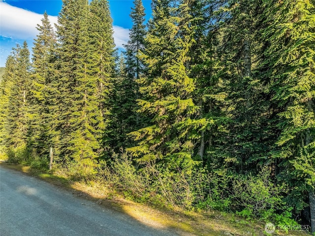 34393 S Nason Rd, Leavenworth, WA 98826
