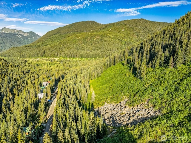 34393 S Nason Rd, Leavenworth, WA 98826