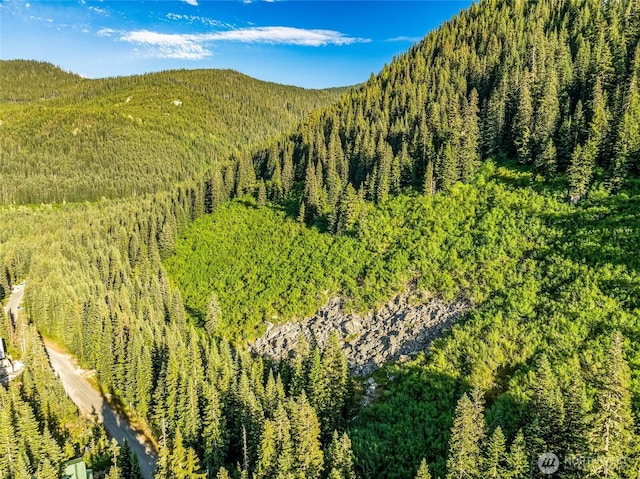 34393 S Nason Rd, Leavenworth, WA 98826