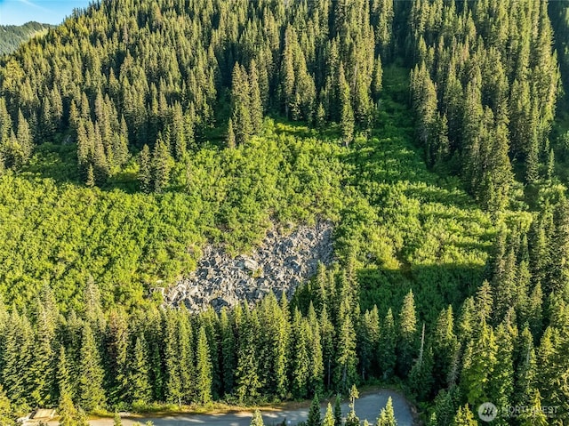 34393 S Nason Rd, Leavenworth, WA 98826