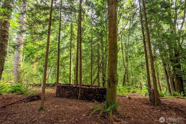 1692 Galbraith Ln, Bellingham, WA 98229 - view of woods