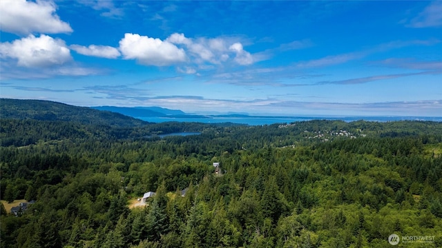 1692 Galbraith Ln, Bellingham, WA 98229 - view of mountain backdrop featuring a heavily wooded area