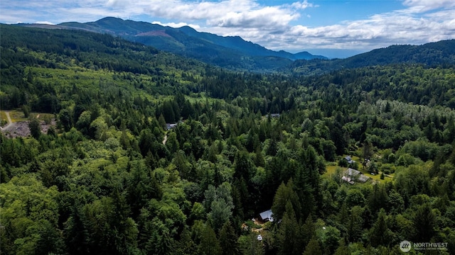 1692 Galbraith Ln, Bellingham, WA 98229 - drone / aerial view of a forest and a mountain backdrop