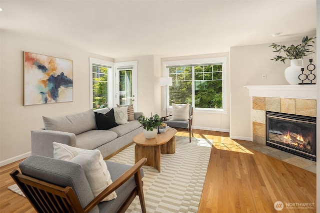856 NE 91st St Unit A, Seattle, WA 98115 - photo 5