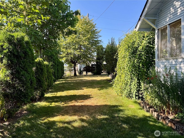 1203 Davis Ave, Enumclaw, WA 98022 - photo 28