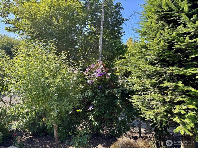 1203 Davis Ave, Enumclaw, WA 98022 - photo 32