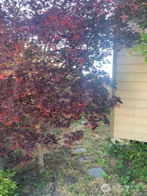 4405 E I, Tacoma, WA 98404 - photo 4