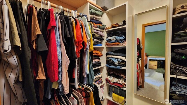 230 Goldmyer Dr, Chehalis, WA 98532 - view of spacious closet