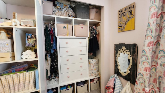 230 Goldmyer Dr, Chehalis, WA 98532 - view of closet