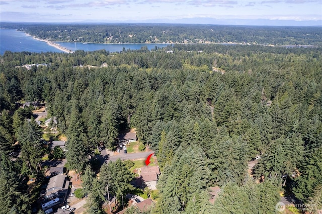 5419 141st St NW, Gig Harbor, WA 98332 - photo 36
