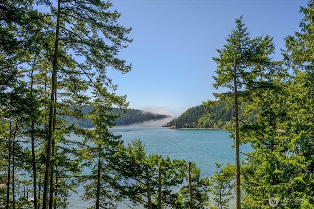 15780 Quiet Cove Dr, Anacortes, WA 98221 - photo 1