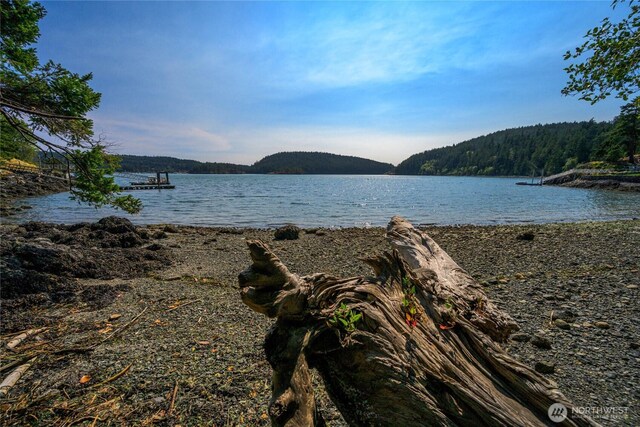 15780 Quiet Cove Dr, Anacortes, WA 98221 - photo 31