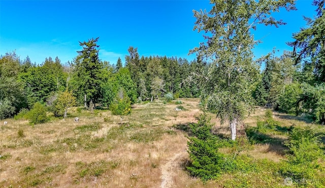 15724 Lawrence Lake Rd SE, Yelm, WA 98597 - photo 32