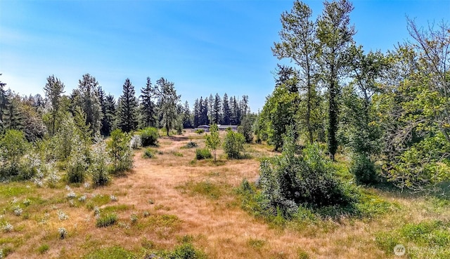 15724 Lawrence Lake Rd SE, Yelm, WA 98597 - photo 34