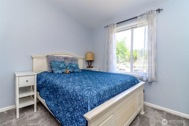15724 Lawrence Lake Rd SE, Yelm, WA 98597 - photo 9