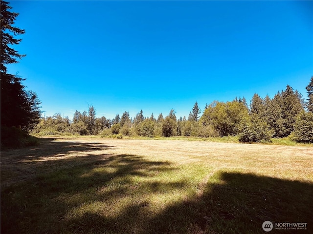 25430 46th Ave NE, Arlington, WA 98223 - photo 20