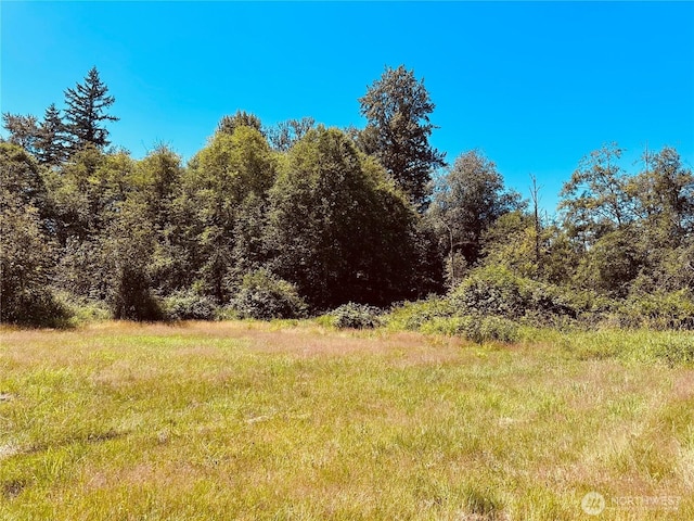 25430 46th Ave NE, Arlington, WA 98223 - photo 23