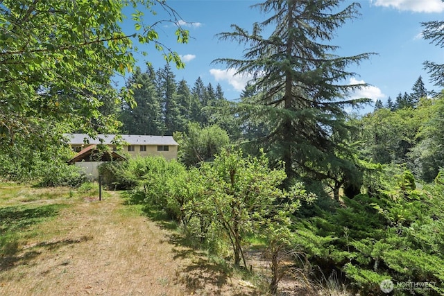6457 Green Mountain Rd, Woodland, WA 98674 - photo 31