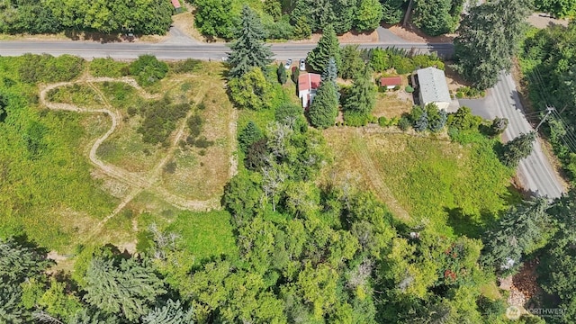 6457 Green Mountain Rd, Woodland, WA 98674 - photo 33