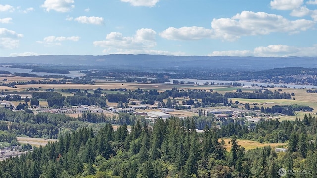 6457 Green Mountain Rd, Woodland, WA 98674 - photo 34