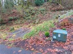 435SW Mount Baker Dr, Issaquah, WA 98027 - photo 2