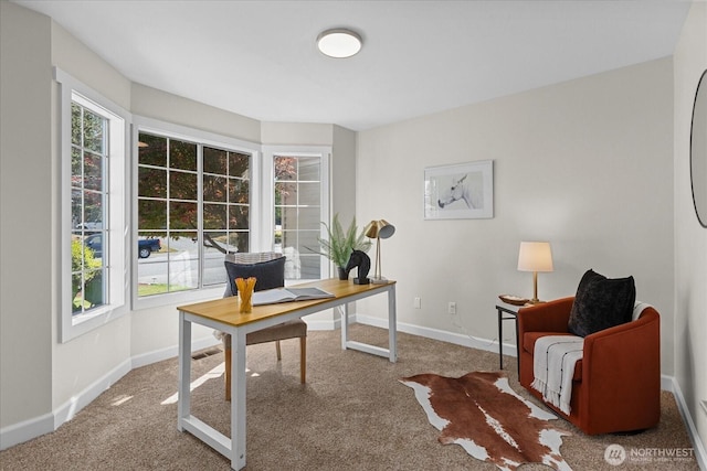 6505 Cascade Dr SE, Snohomish, WA 98296 - photo 17