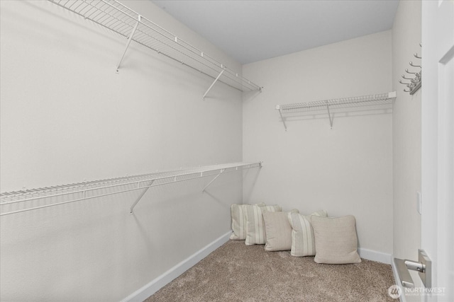 6505 Cascade Dr SE, Snohomish, WA 98296 - photo 20