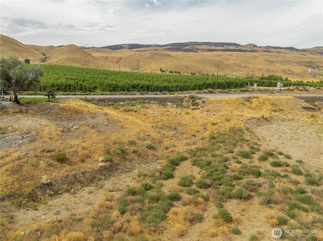 2310 Highland Dr, Bridgeport, WA 98813 - photo 23
