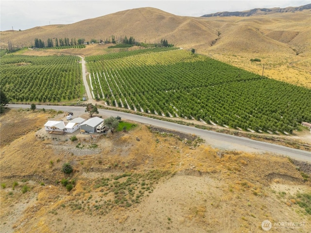 2310 Highland Dr, Bridgeport, WA 98813 - photo 25