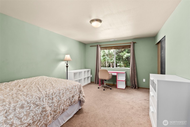 119 Senn Rd, Chehalis, WA 98532 - photo 19