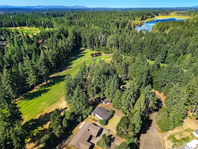 272 E Shamrock Dr, Shelton, WA 98584 - photo 29