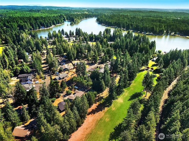 272 E Shamrock Dr, Shelton, WA 98584 - photo 30