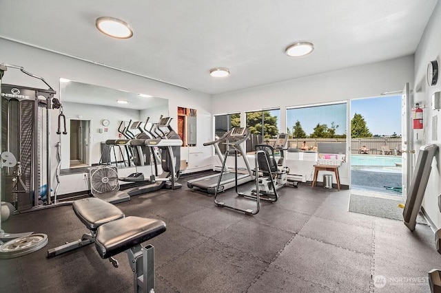 3661 24th Pl W Unit 401, Seattle, WA 98199 - photo 27