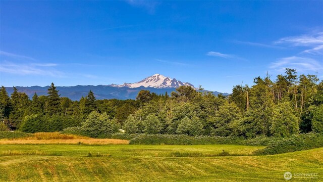 6488 Church Rd, Ferndale, WA 98248 - photo 37