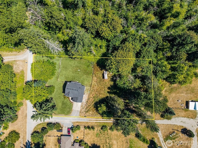 29811 12th Avenue Ct E, Roy, WA 98580 - photo 4