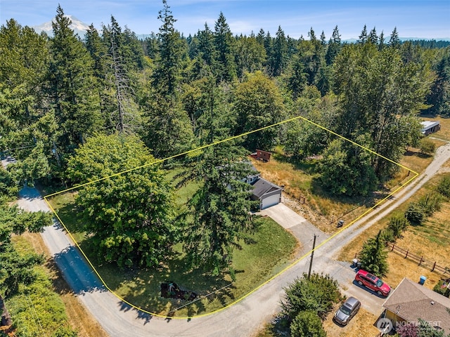 29811 12th Avenue Ct E, Roy, WA 98580 - photo 29