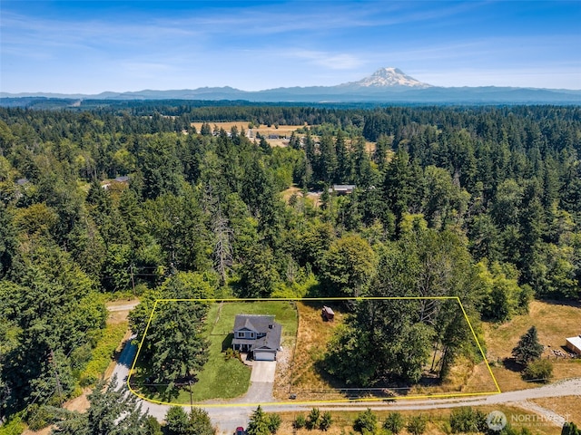 29811 12th Avenue Ct E, Roy, WA 98580 - photo 30