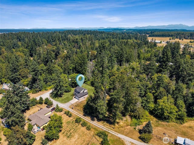 29811 12th Avenue Ct E, Roy, WA 98580 - photo 31