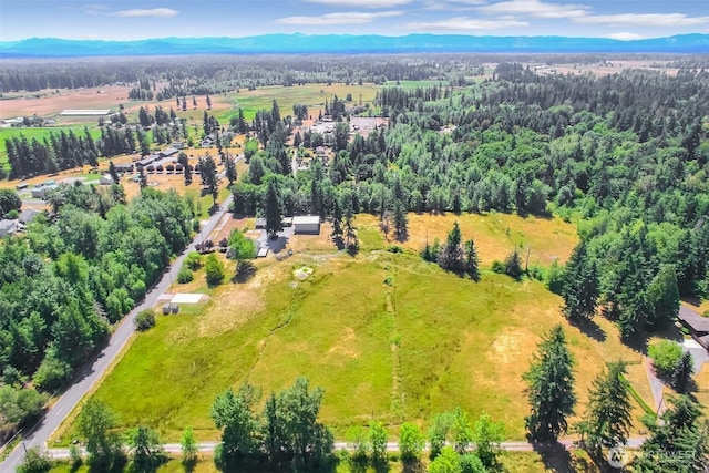 33114 48th Ave S, Roy, WA 98580 - photo 2