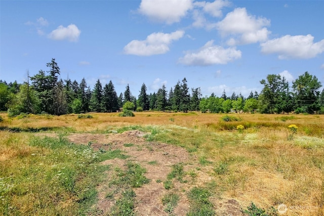 33114 48th Ave S, Roy, WA 98580 - photo 31