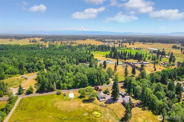 33114 48th Ave S, Roy, WA 98580 - photo 38