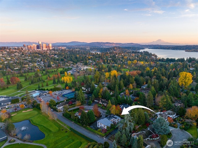1525 79th Pl NE, Medina, WA 98039 - photo 40