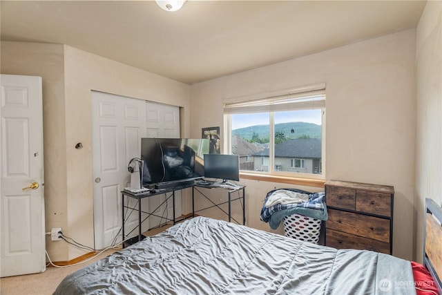 162 Summit Place Dr, Mccleary, WA 98557 - photo 33