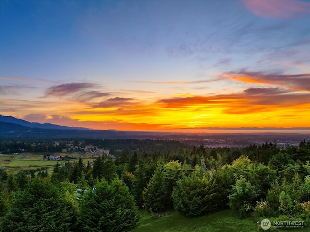 52 Carriage Dr, Sequim, WA 98382 - view of mountain background featuring a heavily wooded area
