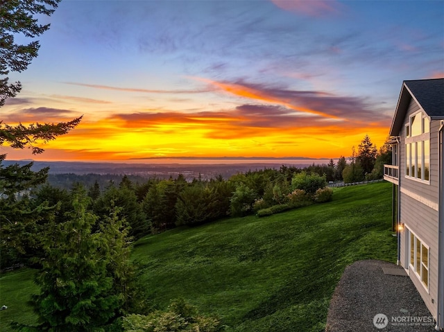 52 Carriage Dr, Sequim, WA 98382 - view of yard